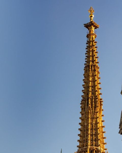 Titelfoto des Guides Wien in 48 Stunden